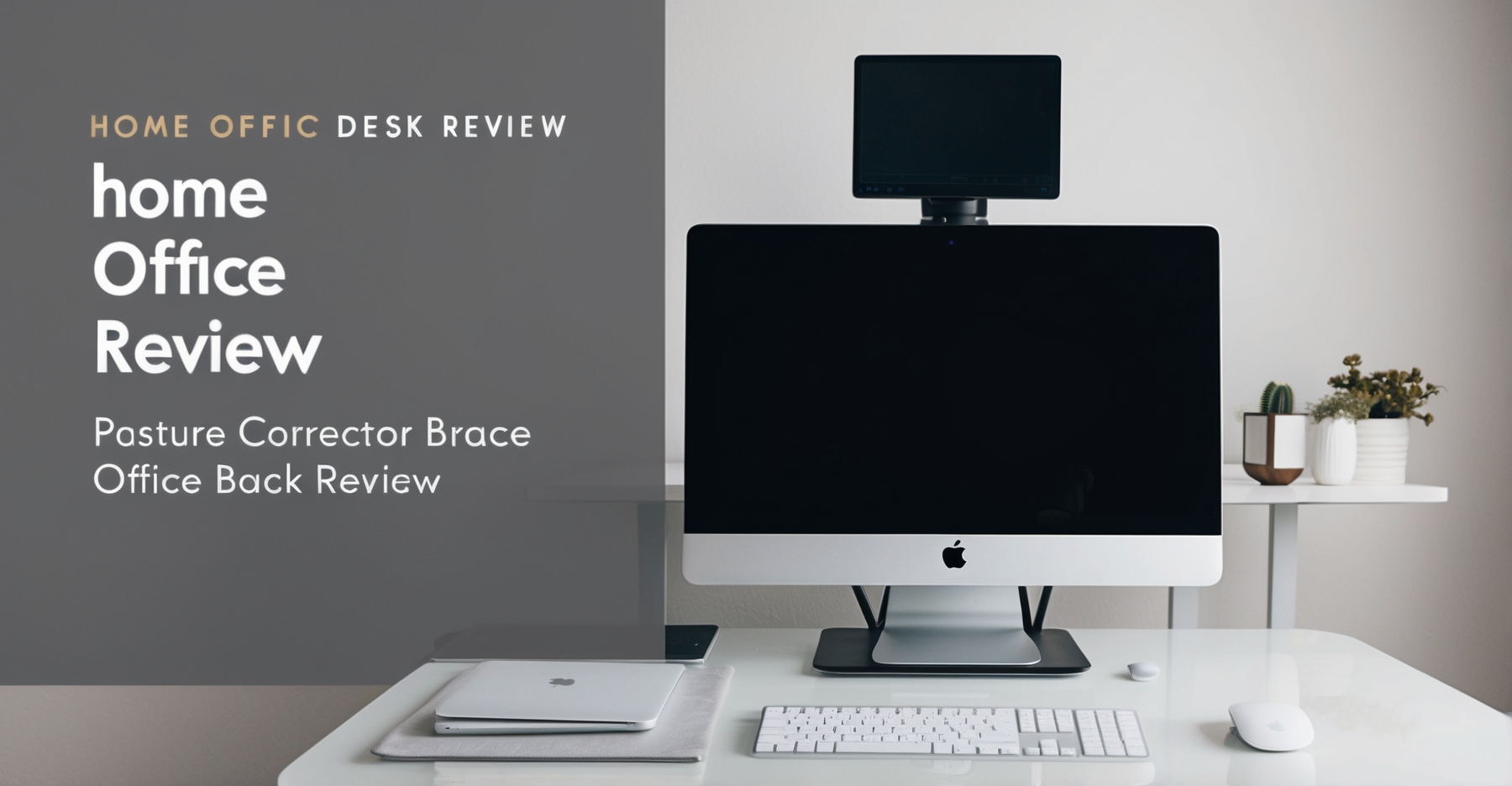 Posture Corrector Brace Office Back Review