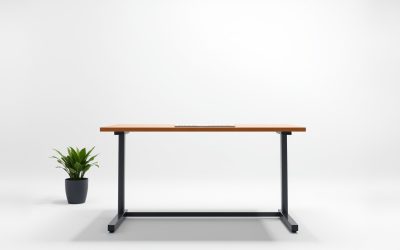 Best Adjustable Standing Desk Stand 2026