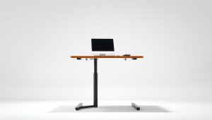 Best Height Adjusting Standing Desk 2026