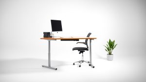 Best Seated To Standing Desk 2026
