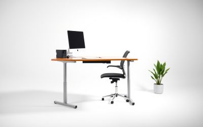 Best Seated To Standing Desk 2026