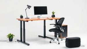 Best Sit And Standing Desk 2026