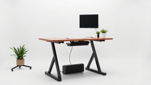 Best Veken Standing Desk 2026