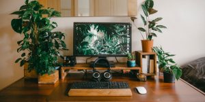How to Choose an Office Chair: Fit, Adjustments, and Value
