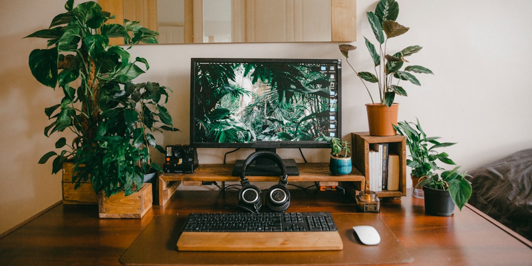 How to Choose an Office Chair: Fit, Adjustments, and Value
