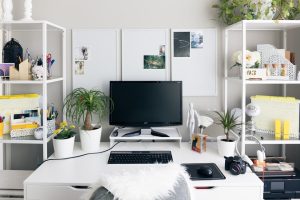 Best Desk Plants: Easy Greenery for Your Workspace