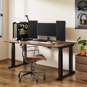 Flexispot E7 Plus