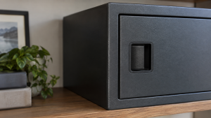 How to Choose Biometric Safes: What Actually Matters