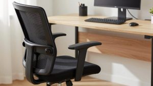Best Ergonomic Office Chair for Herniated Disc