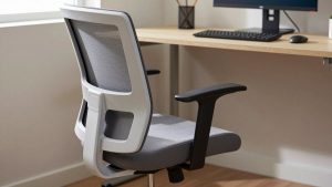 Best Ergonomic Office Chair for Short Torso