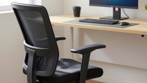Best Ergonomic Office Chair Splurge