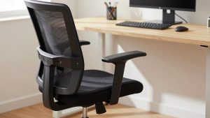 Best Ergonomic Office Chair Under 300 Dollars