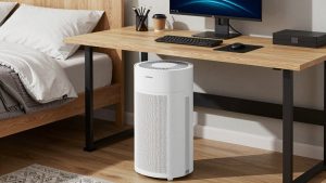 Best Purifier For Bedroom