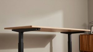 Best standing desk for home office with low ceiling