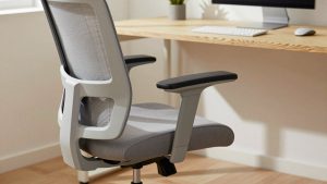 Branch Ergonomic Chair vs Sihoo Doro C300