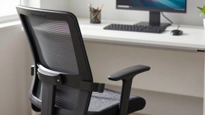Duramont Ergonomic Chair Review
