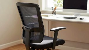 Ergonomic Chair Buying Guide Lumbar Support