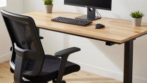 Fellowes Lotus Sit Stand Workstation: Features and Honest Review