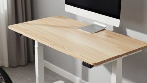 Single Motor Standing Desk vs Dual Motor Standing Desk