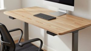 Standing Desk Model Reviews