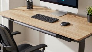 Vari Electric Desk Review
