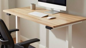Vernal Standing Desk Review: Features, Build Quality and Value