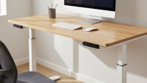 Vernal Standing Desk Review: Specs, Assembly and Everyday Performance